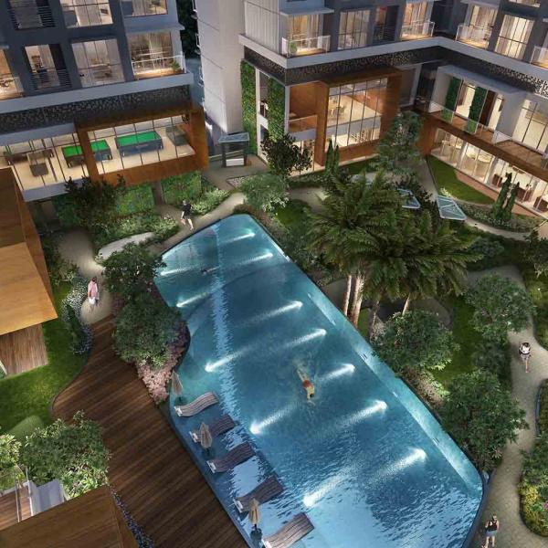 Adani The Views