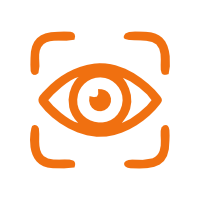 Vision